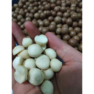 Mắc ca Úc nứt vỏ (1000g) tặng khui tách vỏ