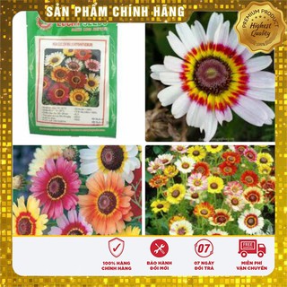 Hạt Giống Hoa Cúc Chi mix