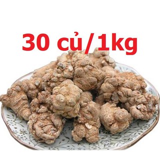 Củ tam thất bắc khô ❤️FREE SHIP❤️ Loại Vip 30 củ/kg- Tây Bắc (Củ lâu năm) 500gram