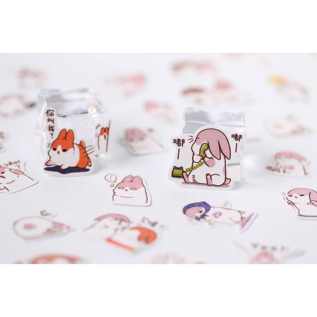 Set 40 50 Miếng Sticker Dán Mẫu Động Vật - Nhãn Dán Hoạt Hình Trang Trí Sổ Tay, Điện Thoại,...