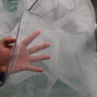 Tráng nuôi cá trê đồng