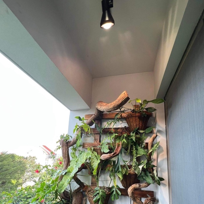 Đèn Trồng Cây Spotlight Thân Dài LGL 20W, Ánh Sáng Nắng Sớm Kích Thích Ra Ở Chồi Kiểng Lá & Ra Mầm Ở Cây Hoa, Sen Đá