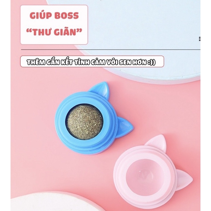 CATNIP Viên Cỏ Bạc Hà Cho Mèo Gắn Tường  Giảm Stress Hỗ Trợ Tiêu Hóa Tiêu Búi Lông Cân Bằng Dinh Dưỡng Cho Mèo
