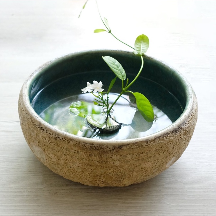 Chậu nuôi cá