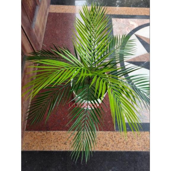 Cây dừa trang trí 9 nhánh cao 52cm