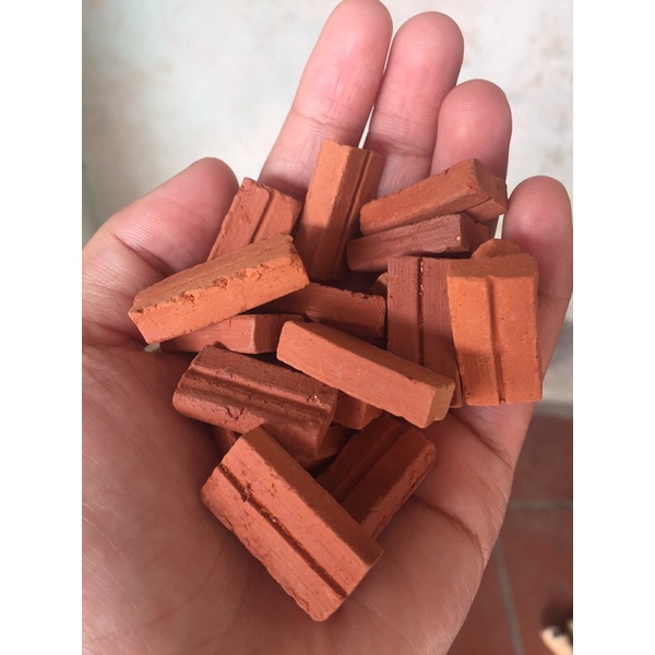 Gạch mini xây tiểu cảnh