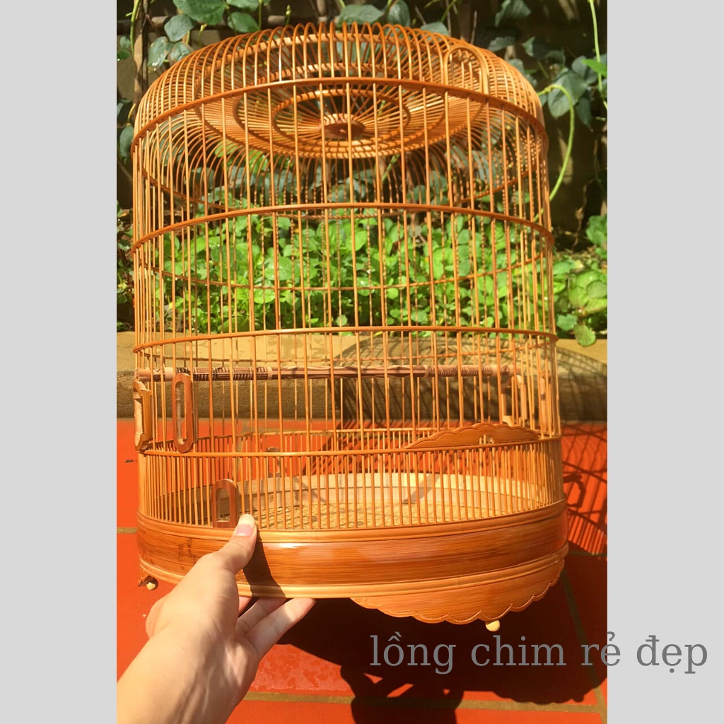 Lồng chim Chòe than Lồng Chim Vác trúc già đẹp kèm phụ kiện