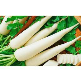 HẠT GIỐNG CỦ CẢI MUỐI DƯA HÀ NỘI (NN54) - 50G