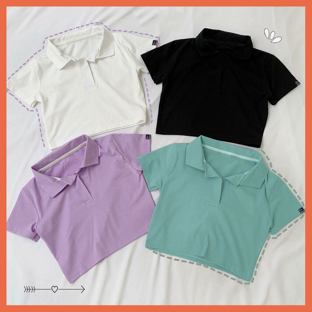 Áo croptop có cổ nữ, áo croptop nữ có cổ 100% cotton co giãn bốn chiều Hagi