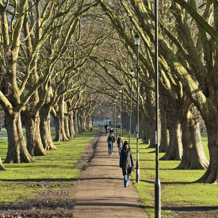 Canon EOS 1000D  Kèm ống kính canon 35-80 95%