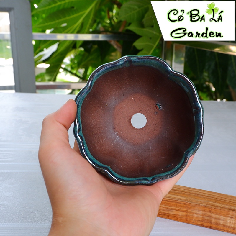 Chậu sứ trồng cây-hình hoa sen 11x5 -men hỏa biến