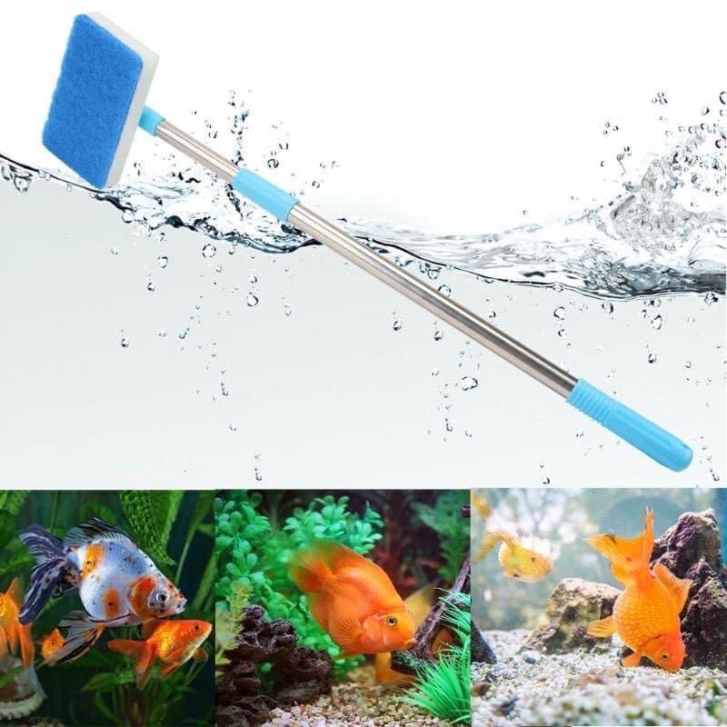 Gậy cọ bể cao cấp cho bể cá cảnh