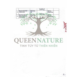 Ngũ cốc lợi sữa Queen nature