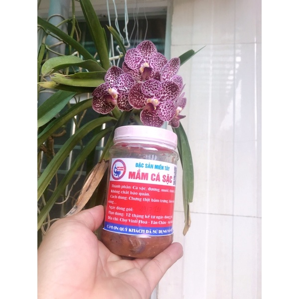 Hủ 500gram Mắm cá sặc Đặc sản châu đốc an giang | BigBuy360 - bigbuy360.vn