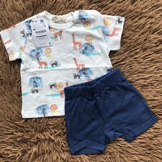 Bộ zara bé trai vườn thú 9/12m-3/4y