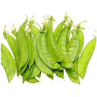 Hạt giống ĐẬu Hà Lan