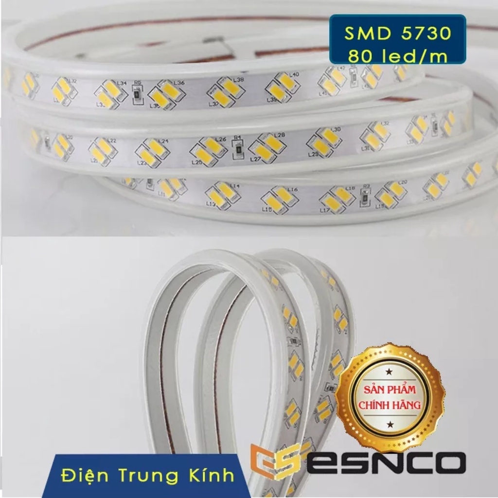 Đèn led dây 220V 2835 100m/cuộn siêu sáng thương hiệu ESNCO dùng trang trí ngoài trời  hắt ttrần thạch cao