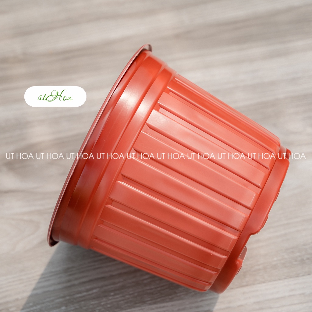 10 chậu nhựa nâu N28  trồng cây, có sọc đẹp cứng cáp