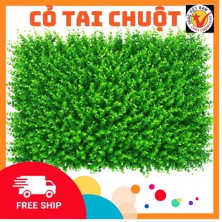 Cỏ treo tường tai chuột ,Cỏ nhựa cải xoong trang trí làm decore,Tấm R 40cm X60cm