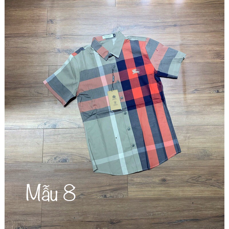 Áo sơ mi cộc kẻ bbr new hot💥 | BigBuy360 - bigbuy360.vn