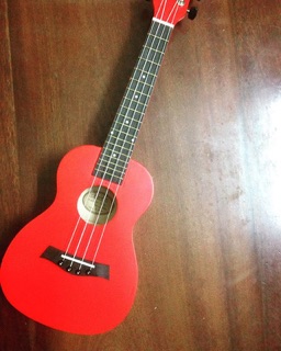 ukulele concert