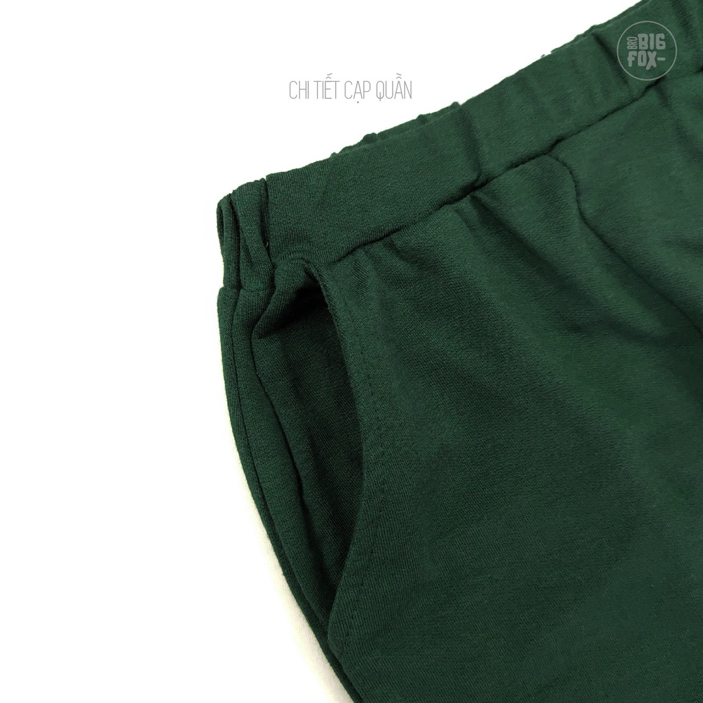 Đồ bộ quần áo trẻ em thu đông dài tay cho bé trai lớn BIGFOX - MISS MEOW vải nỉ da cá in khủng long size đại 12 - 43 kg