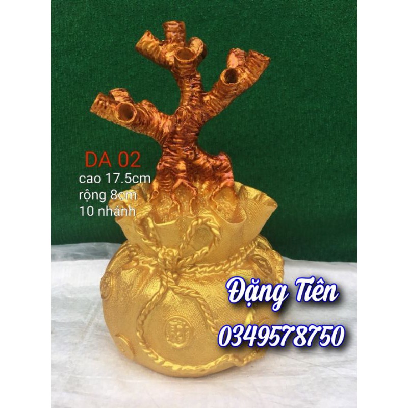 Gốc kim tiền - tài lộc - DA 02 (10 nhánh)