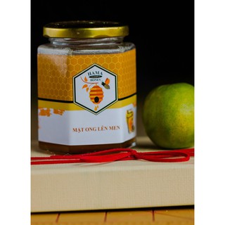 Thùng 6 hũ Mật ong lên men Hama 320g Tặng 1 hũ