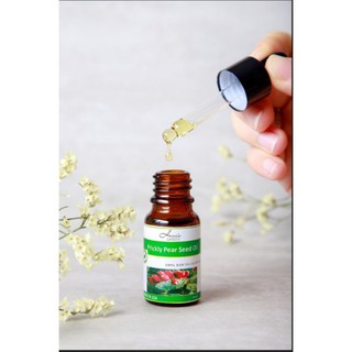 Dầu hạt xương rồng bản nâng cấp