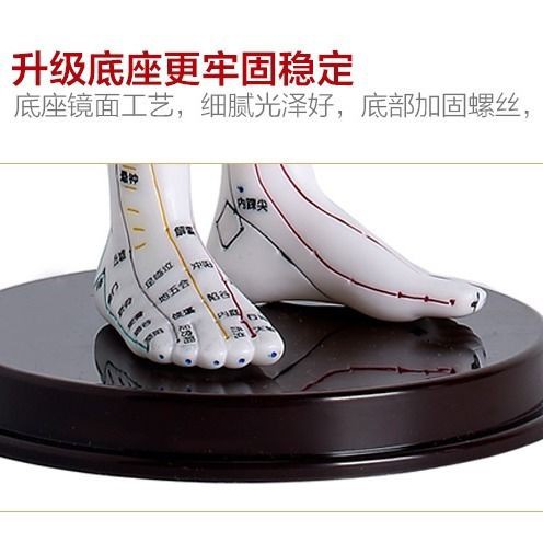 ◇❄Mô Hình Châm Cứu Cơ Thể Người Bằng Đồng Thau Kiểu Trung Hoa