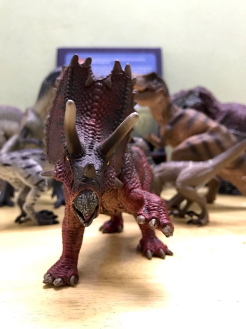 Mô Hình Khủng Long 3 Sừng Triceratops