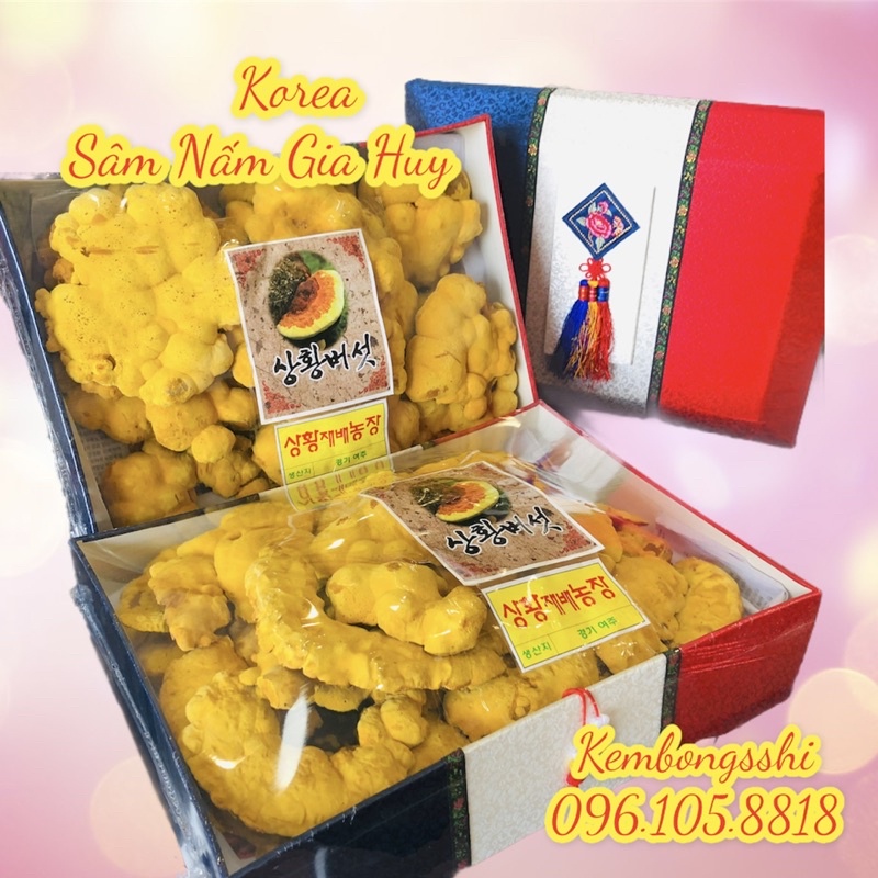 [HÀNG MỚI VỀ] Nấm Thượng Hoàng Hộp Cờ Hàn Quốc, Hộp 500gr