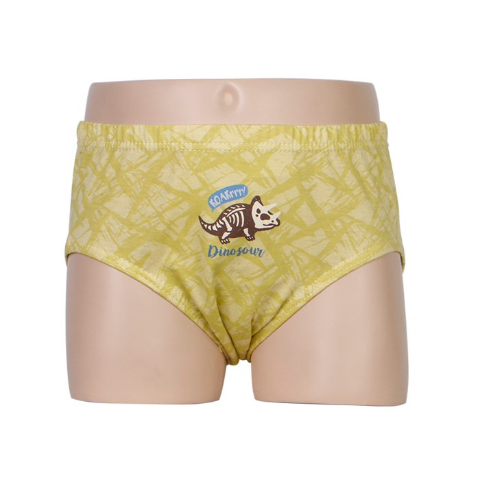 Hộp 5 quần lót bé trai Hàn Quốc 100% cotton mẫu Máy Bay-Khủng Long