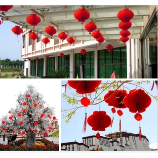 Đèn lồng đỏ trang trí tết / size 12cm/16cm/20cm/25cm