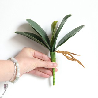 Lá lan hồ điệp TODOCO 5 lá có rễ để bàn phòng khách đẹp, cắm bình trang trí nhà cửa decor đám cưới bông nhựa cao cấp 