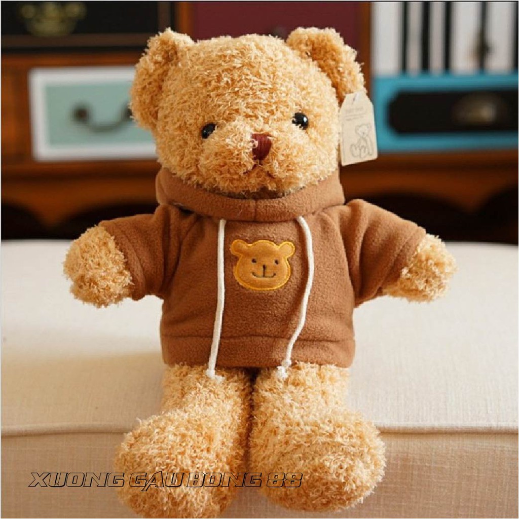 Gấu Bông Đồ Chơi cho bé Teddy Mặc Áo Hoodie Nhiều Màu Nhồi Gòn Cao Cấp Bao Xinh