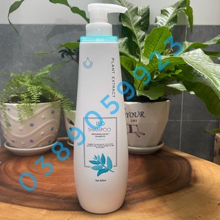 💥💥Dầu Gội Giữ Ẩm Dành Cho Tóc Khô Xơ Tóc Yếu Và Tóc Hư Tổn Nặng Sau Khi Uốn Duỗi, Nhuộm  PROSEE LEO Shampoo 800ml