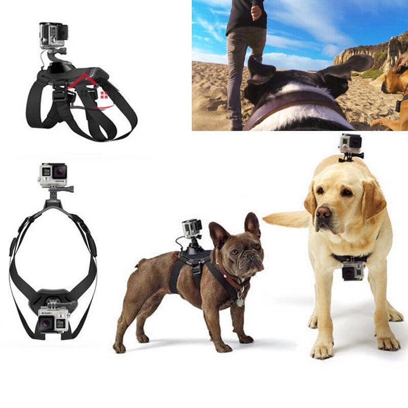 Đai Đeo Giữ Camera Gopro Cho Chó Tiện Dụng Chất Lượng Cao