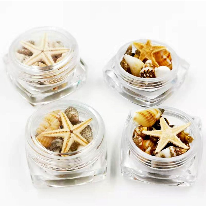 Bộ hạt sao biển vỏ sò nhỏ tự nhiên dùng trang trí resin làm trang sức kính móng tay DIY
