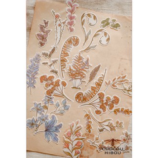 STICKER CỎ DẠI GIẤY MATTE- bộ sticker 60 miếng