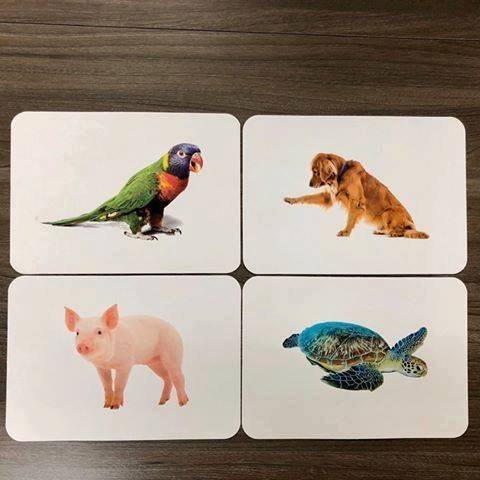 Bộ Thẻ Thông Minh Flashcard Dạy Trẻ Về Thế Giới Xung Quanh