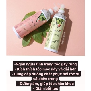 Cặp dầu gội xả tinh chất bưởi Valert Grapefruit