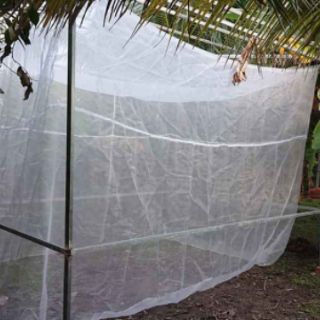 Lồng nuôi cào cào 3x2x2
