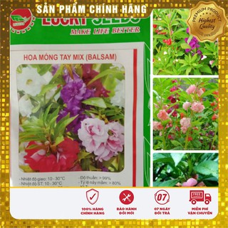 Hạt giống hoa móng tay mix Lucky seeds