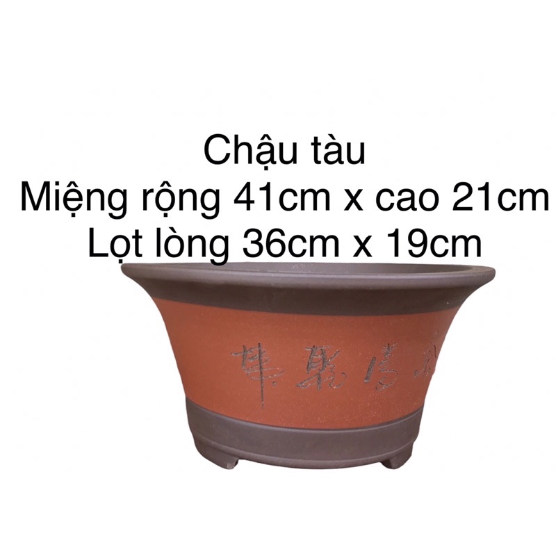 Chậu Tàu size 1