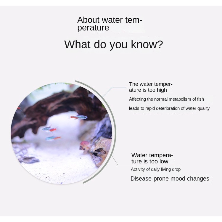 Nhiệt Kế Bể Cá nhiệt kế hồ cá Chống Thấm Nước Tiện Dụng