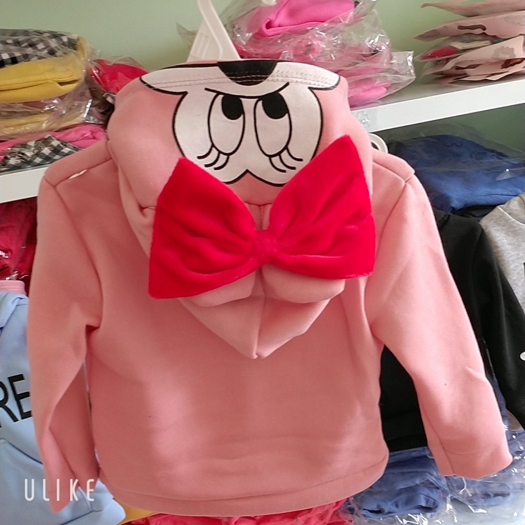 Áo khoác nỉ mũ hoodie hình thú voi-gấu-vịt-lừa-mickey cho  bé trai bé gái từ 6-18kg