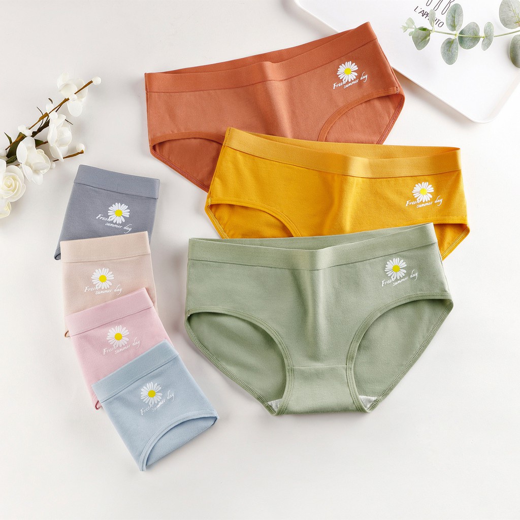 Quần Lót Cotton Nguyên Chất Kháng Khuẩn Họa Tiết Hoa Cúc Nhỏ Phong Cách Nhật Bản Thời Trang Mùa Hè Cho Nữ