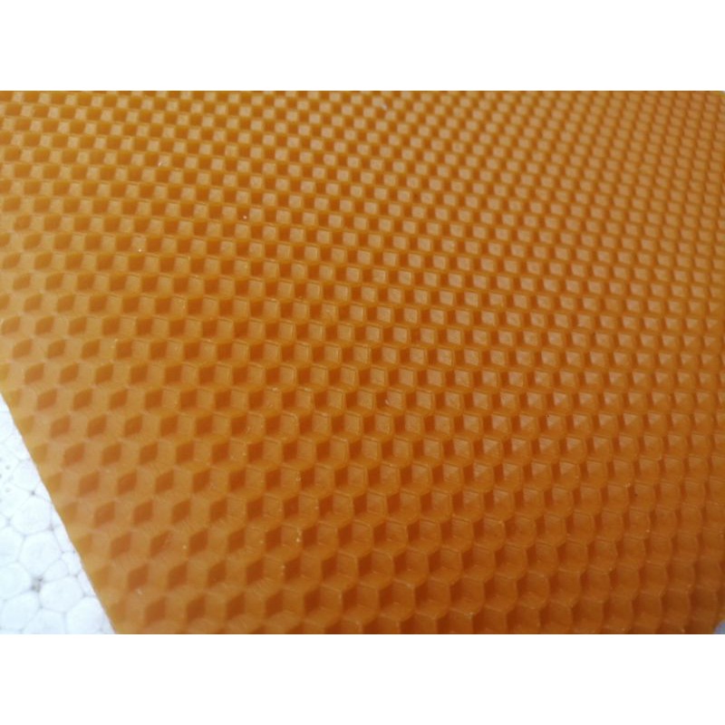 100 tấm chân tầng ong nội cầu 42