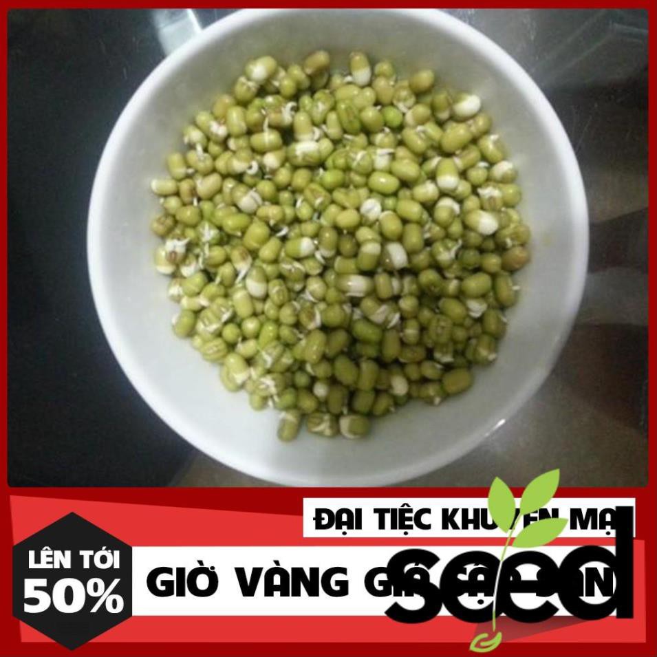 100 Gram Hạt Mầm Giá Đậu Xanh Phú Nông